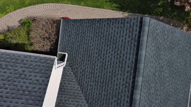 Best Solar Panel Roofing Installation  in East Mountain, TX