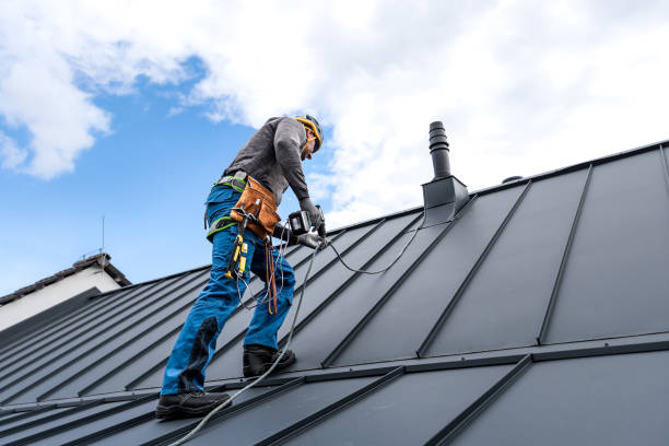 Best Roof Maintenance and Cleaning  in East Mountain, TX