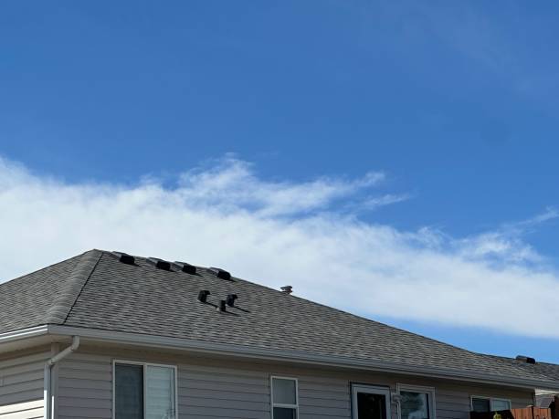 Waterproofing in East Mountain, TX